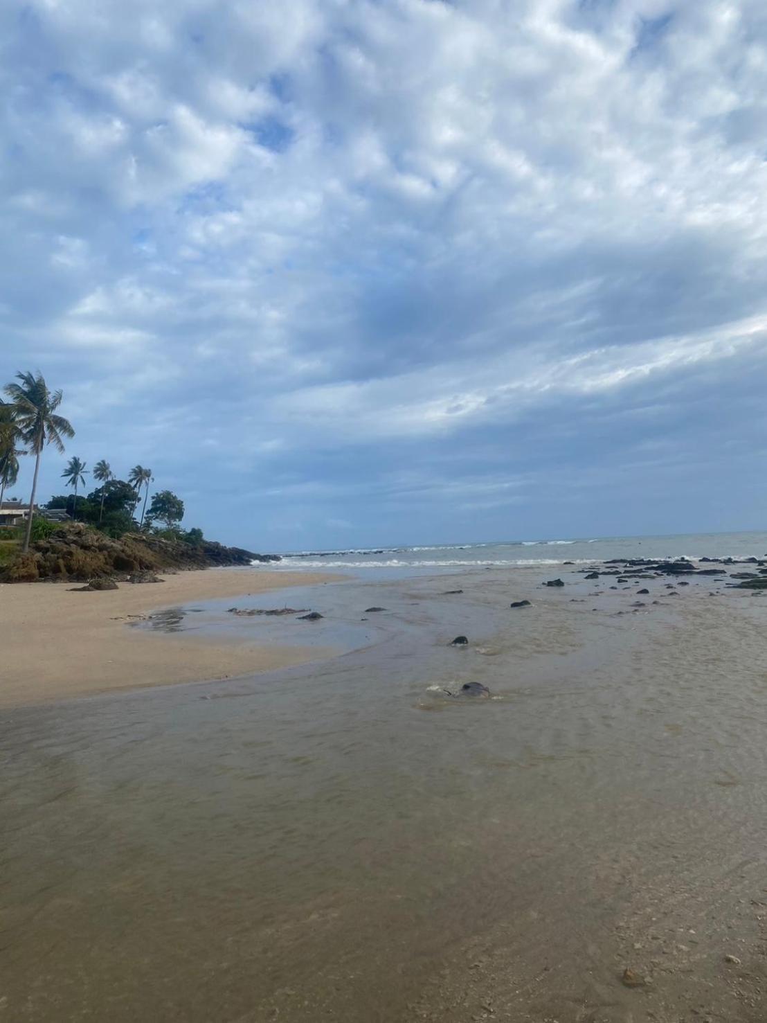 Arya Bungalow Koh Lanta Ngoại thất bức ảnh